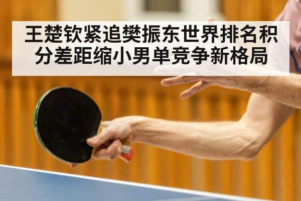 王楚钦紧追樊振东世界排名积分差距缩小男单竞争新格局