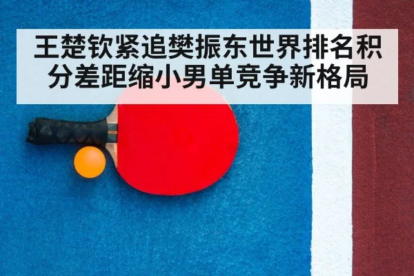 table tennis racket close up